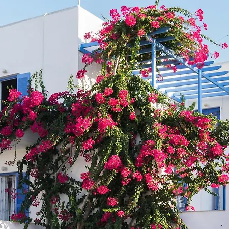 Paros Bed & Breakfast *